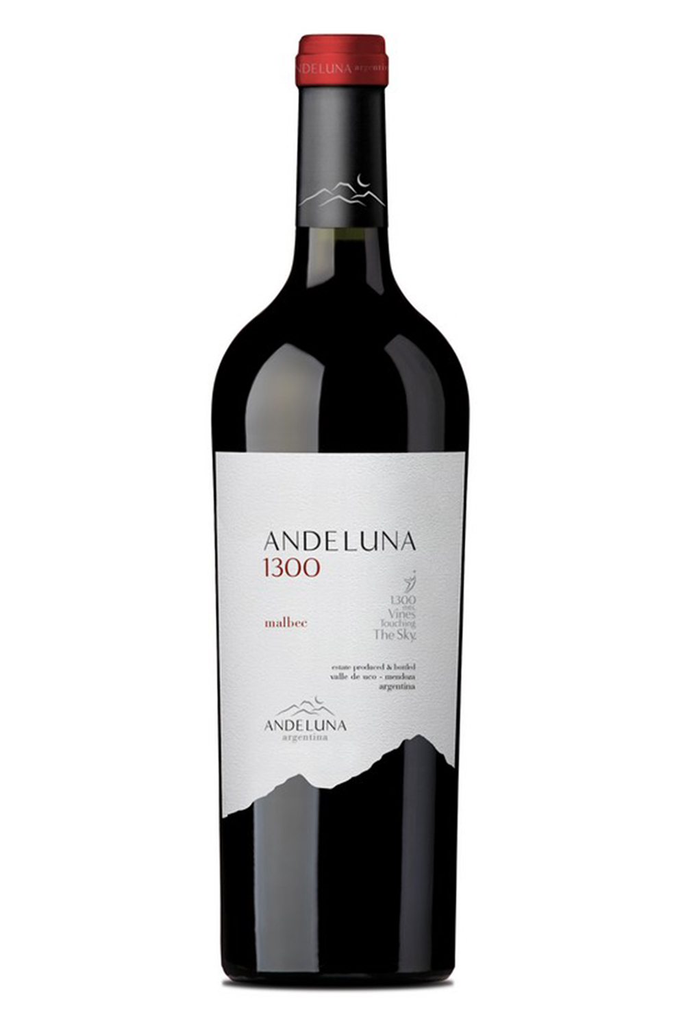 Amarone della Valpolicella del Fondatore