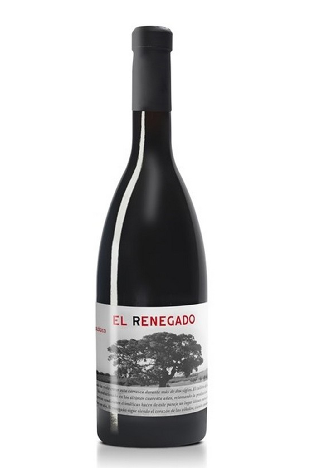 Amarone della Valpolicella del Fondatore